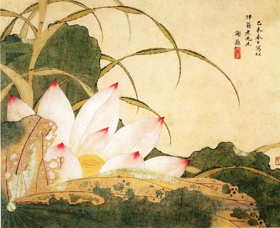 Xiesun Lotus Chinesische Malerei Ölgemälde
